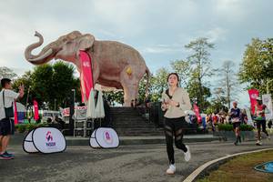 BIB: 
                            <button type="button" onclick="openModal(26529163)" class="btn btn-primary btn-sm float-right btn-popup" data-toggle="modal" data-target=".modal-high-quality">
                        <i class="fas fa-shopping-cart"></i> Add to Cart
                    </button>
                                            <button type="button" onclick="isThisMe(26529163, true)" class="btn btn-success btn-sm float-right btn-popup btn-isme hidden" data-toggle="tooltip" data-placement="bottom" title="นี่คือรูปของคุณใช่ไหม คลิกที่นี่เพื่อเอาเข้าอัลบั้ม">
                        <i class="fas fa-plus"></i> Add to album
                    </button>
                    <button type="button" onclick="isThisMe(26529163, false)" class="btn btn-warning btn-sm float-right btn-popup btn-isnotme hidden">
                        <i class="fas fa-ban"></i> Remove from album
                    </button>